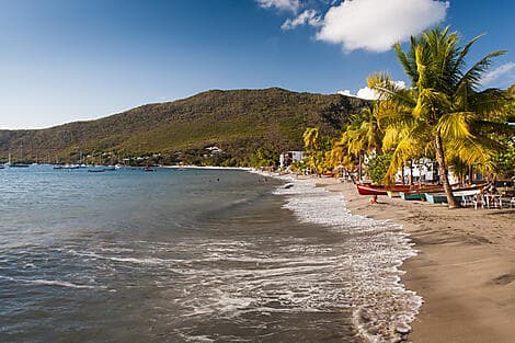 1 Feb 26 - Grande Anse d'Arlet