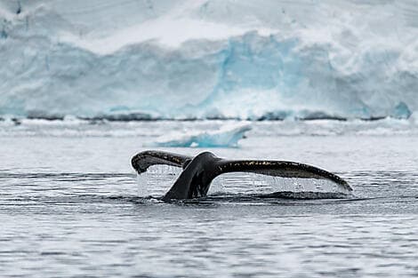 16 Feb 28 - George V Land