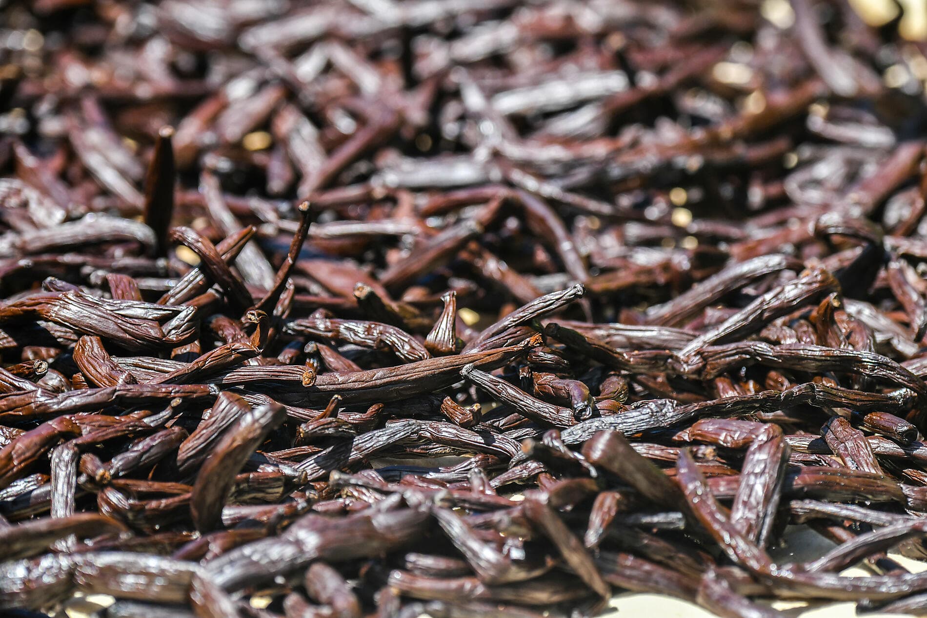 Pearls of the Society Islands