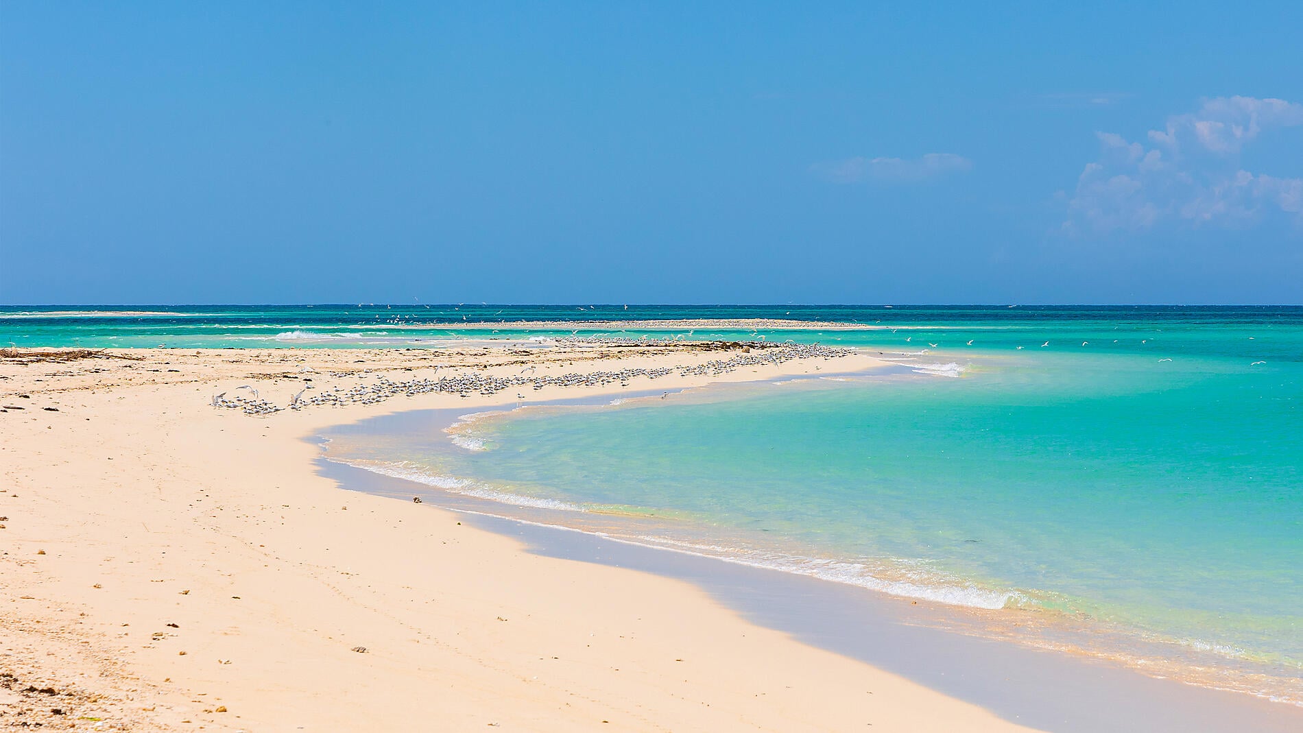 Jewels of Madagascar Jewels of Madagascar