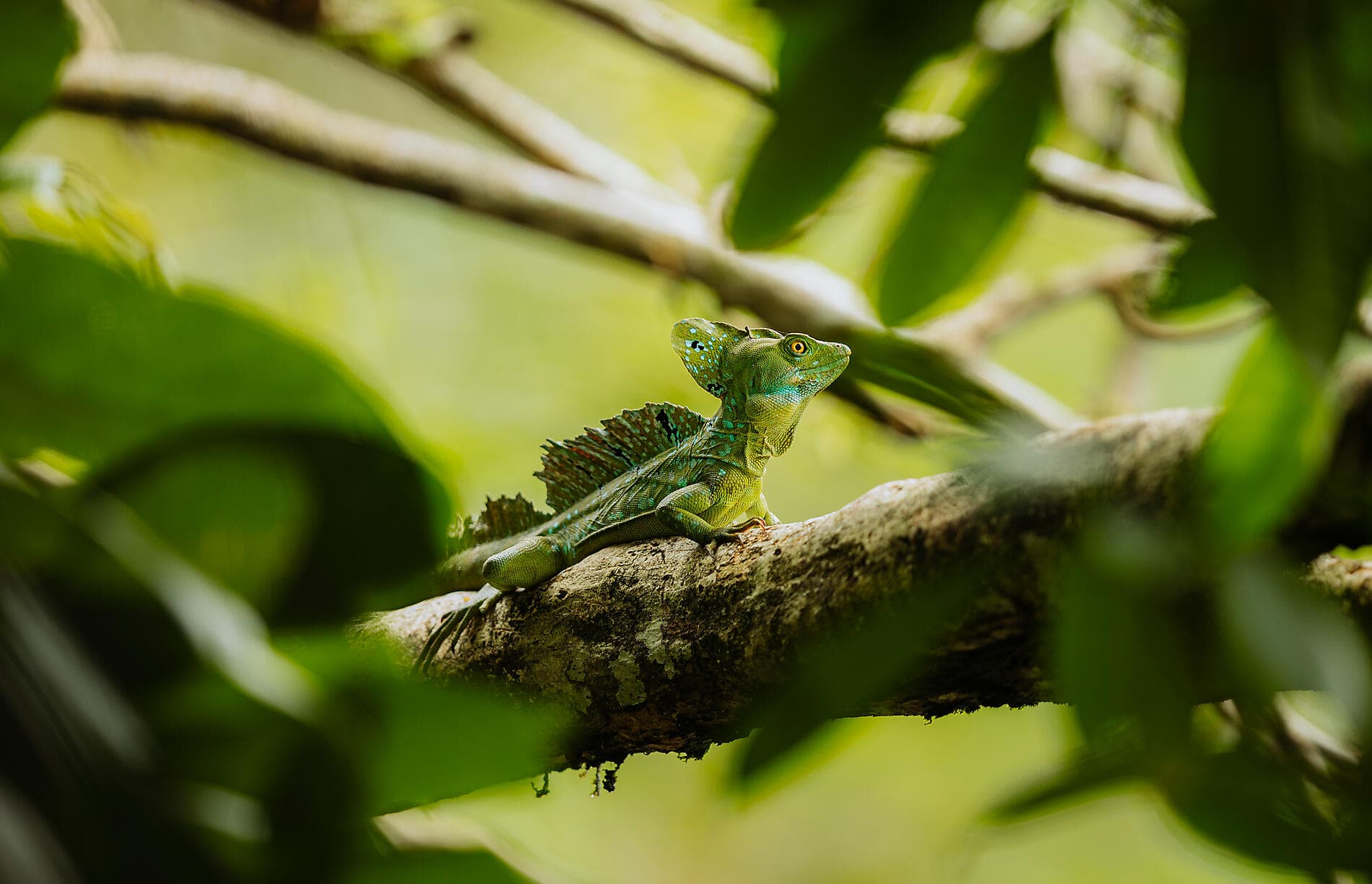 Pacific Coast of Costa Rica