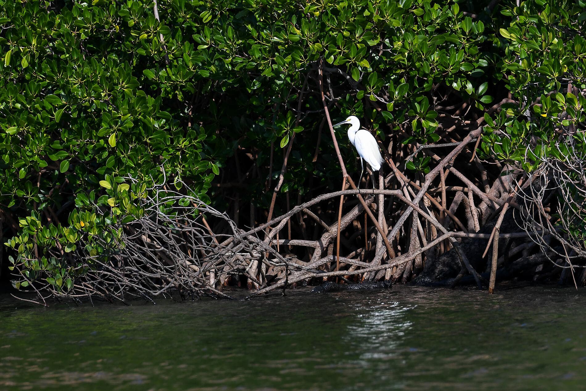 Solar Eclipse over Western Australia: Sailing the Kimberley Coast – with Smithsonian Journeys