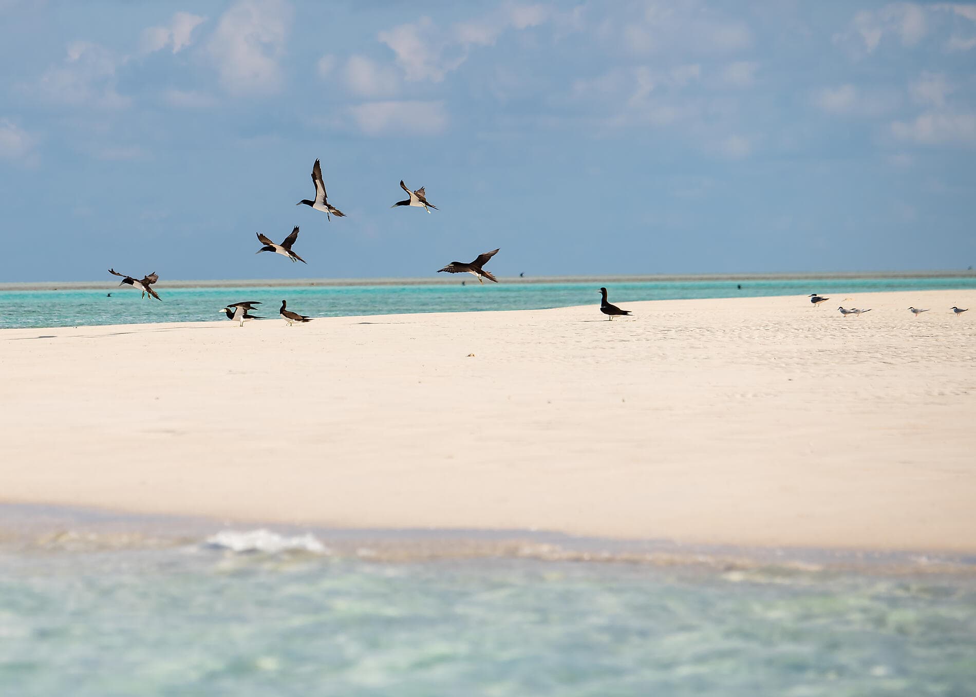 Solar Eclipse over Western Australia: Sailing the Kimberley Coast – with Smithsonian Journeys