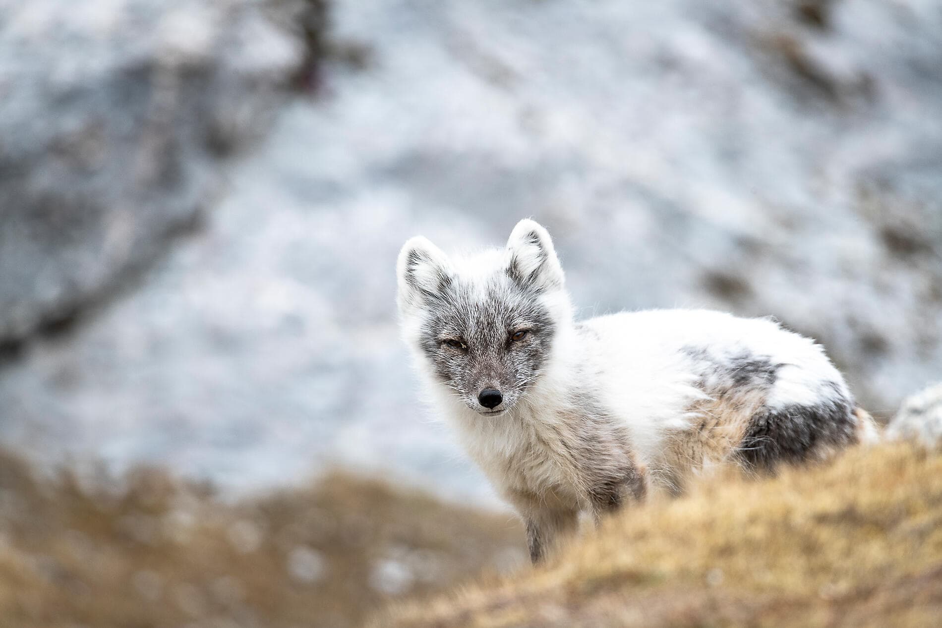 Unexplored Svalbard