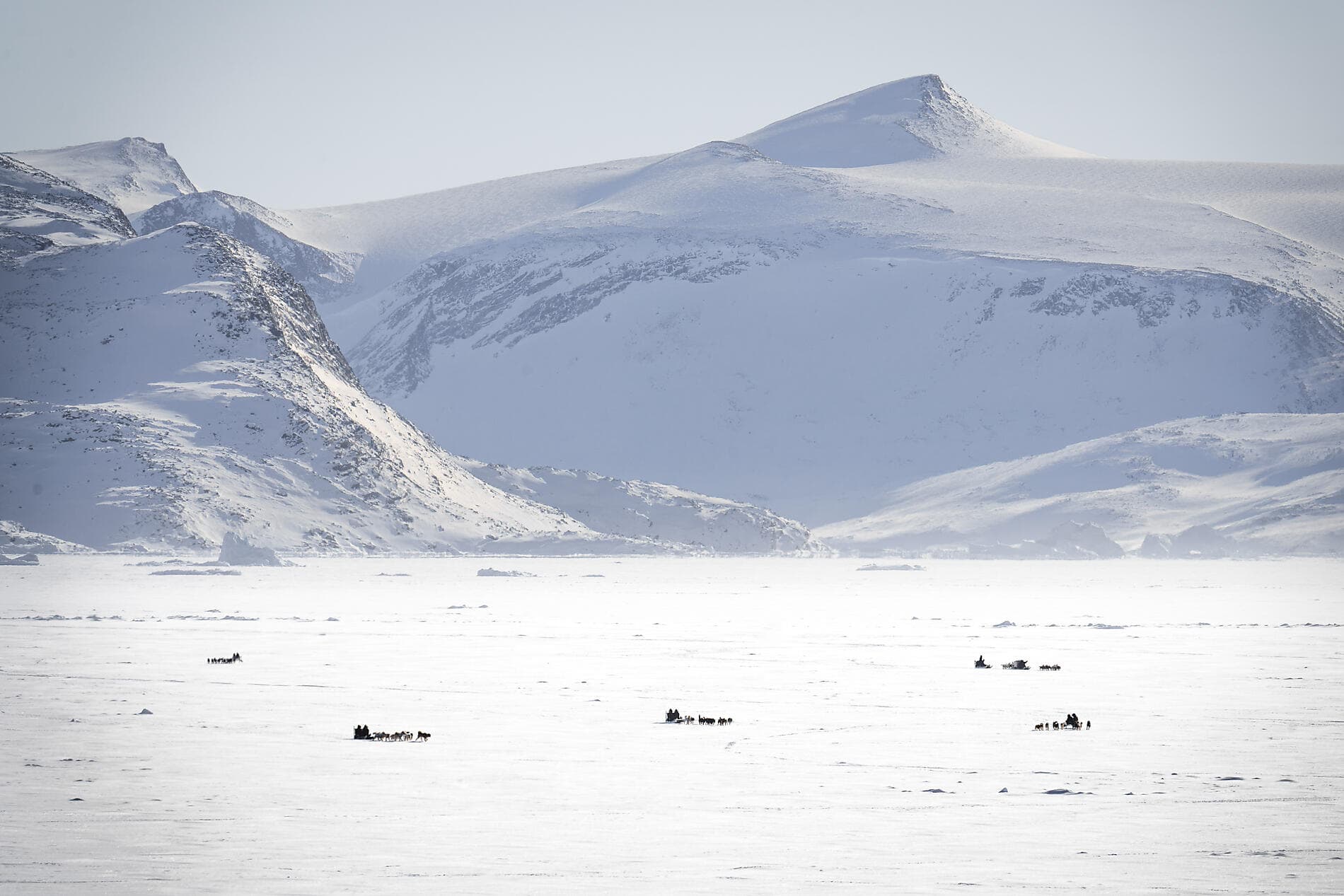 At the edge of the High Arctic