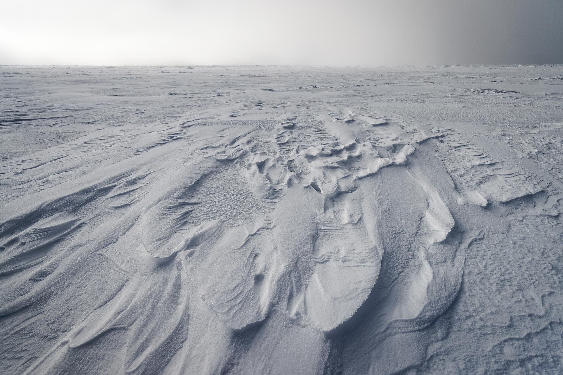 At the edge of the High Arctic