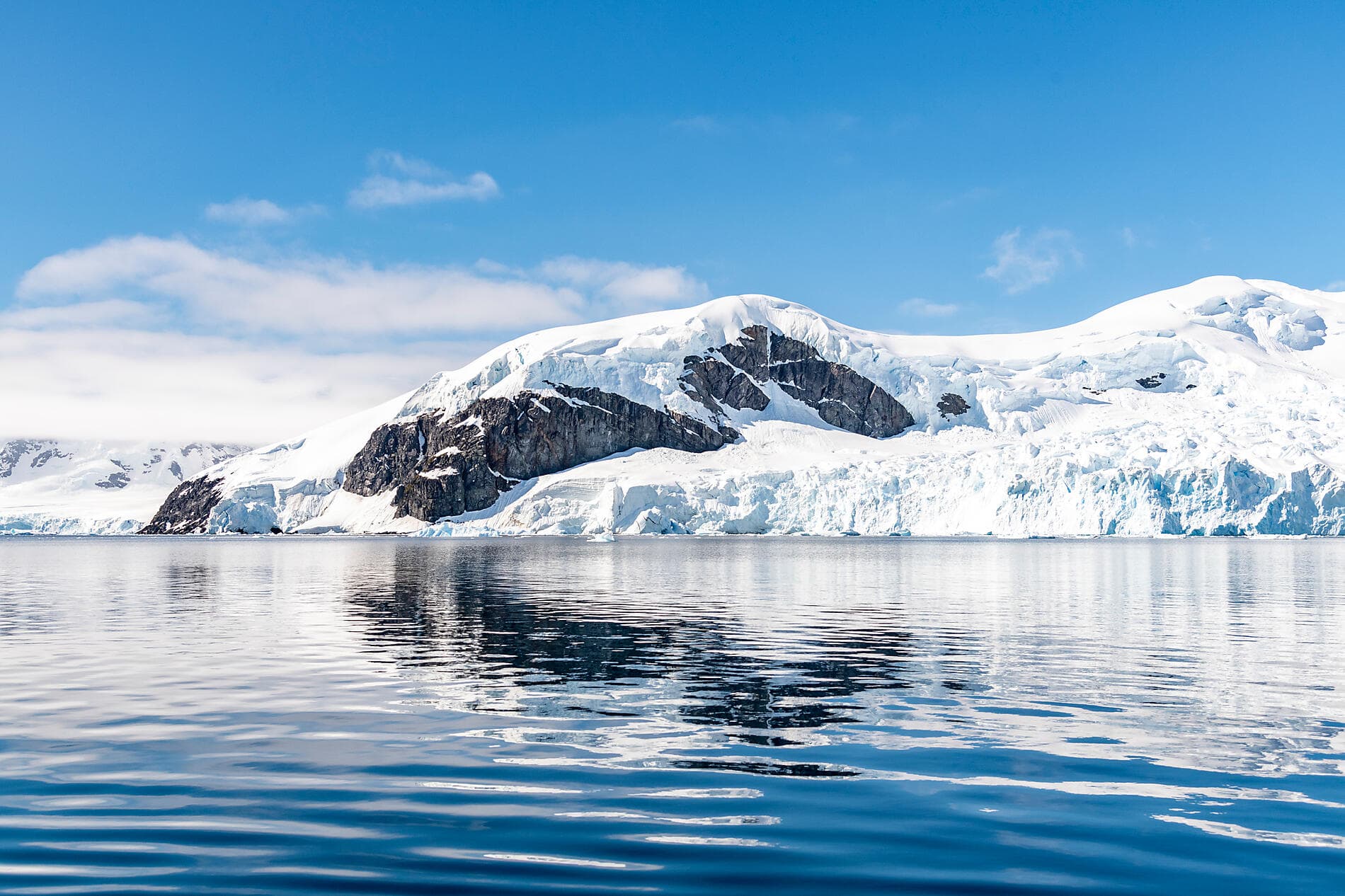 Emblematic Antarctica