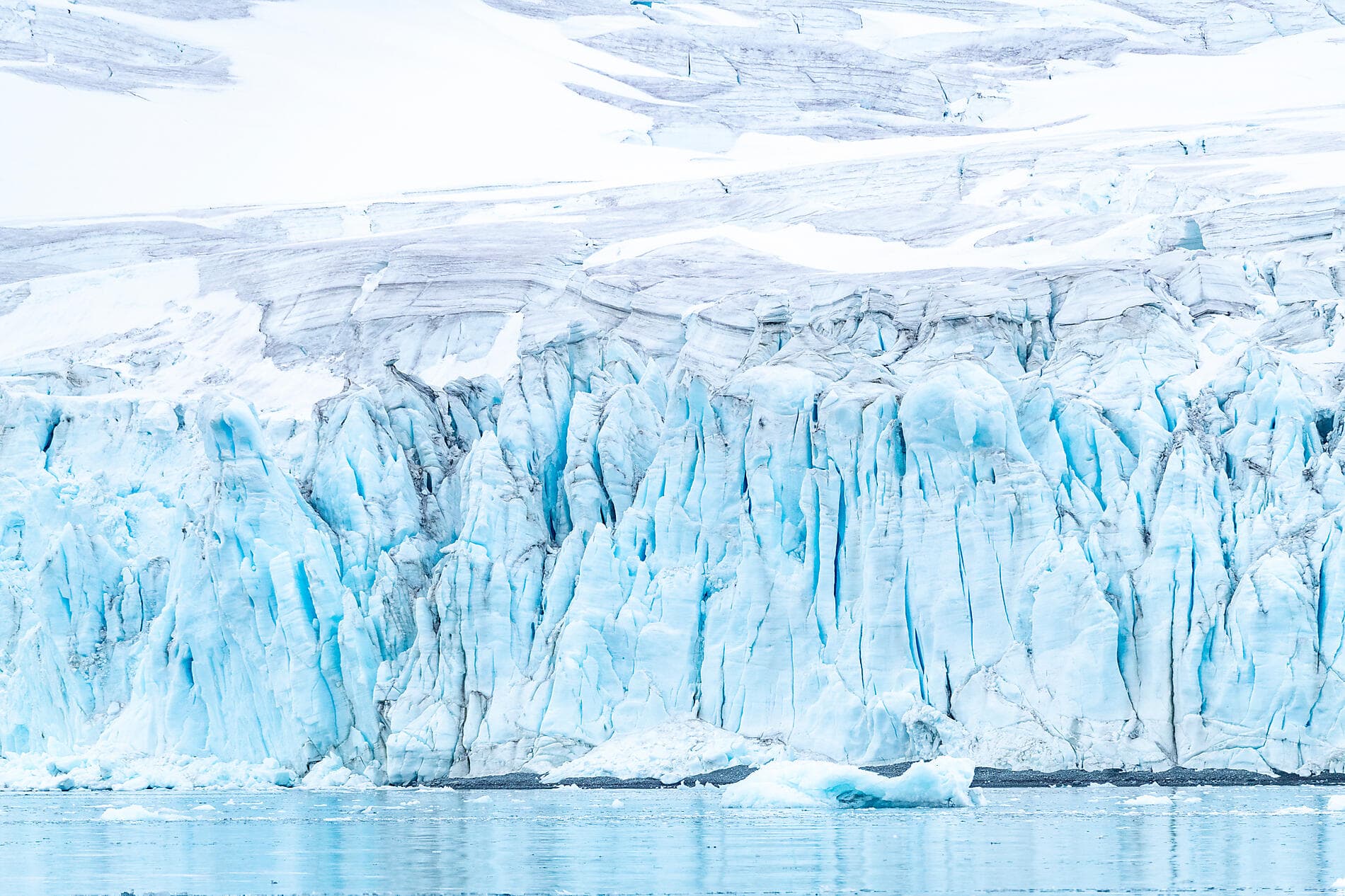Emblematic Antarctica