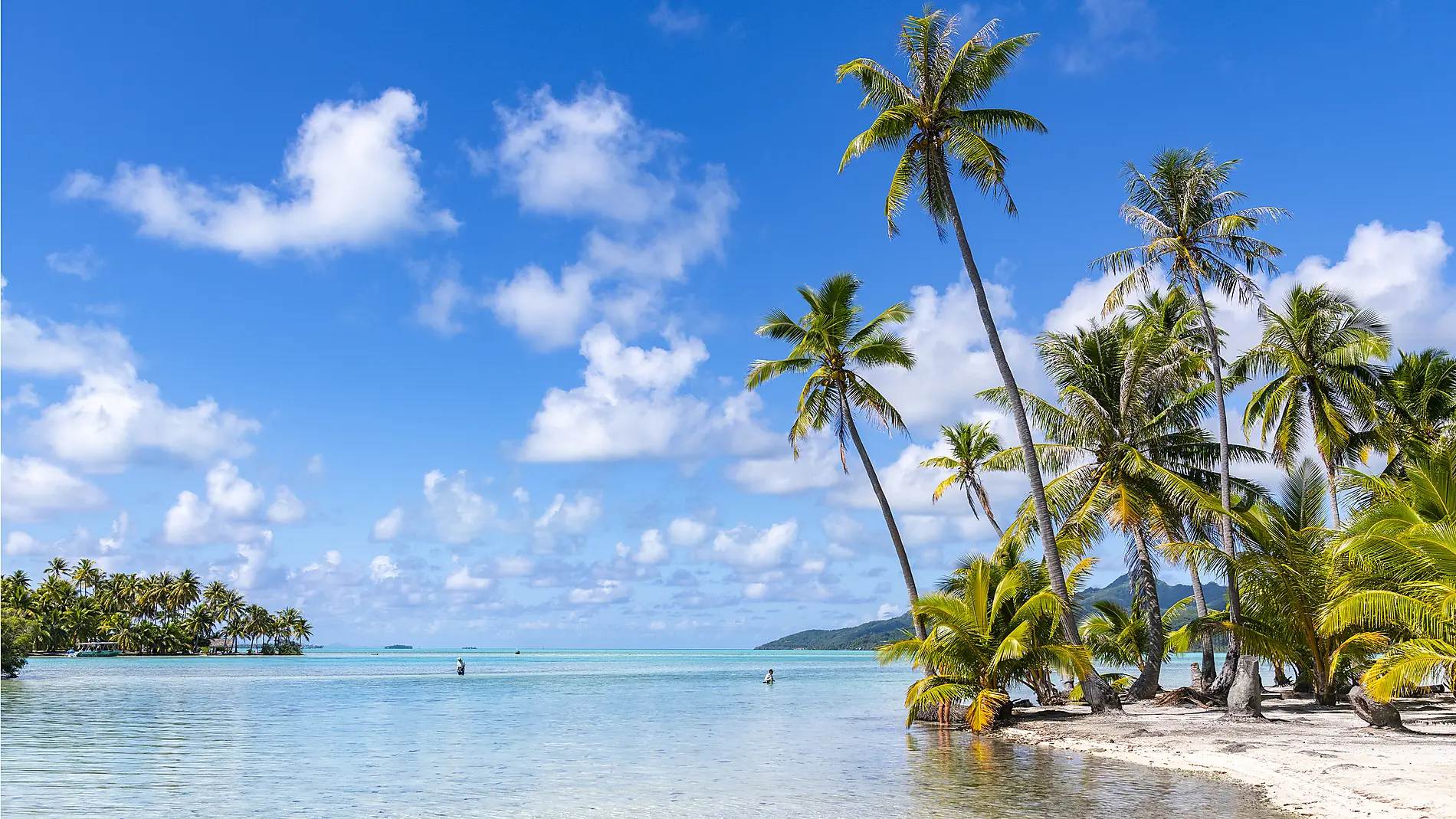 Marquesas, The Tuamotus & Society Islands Marquesas, The Tuamotus & Society Islands