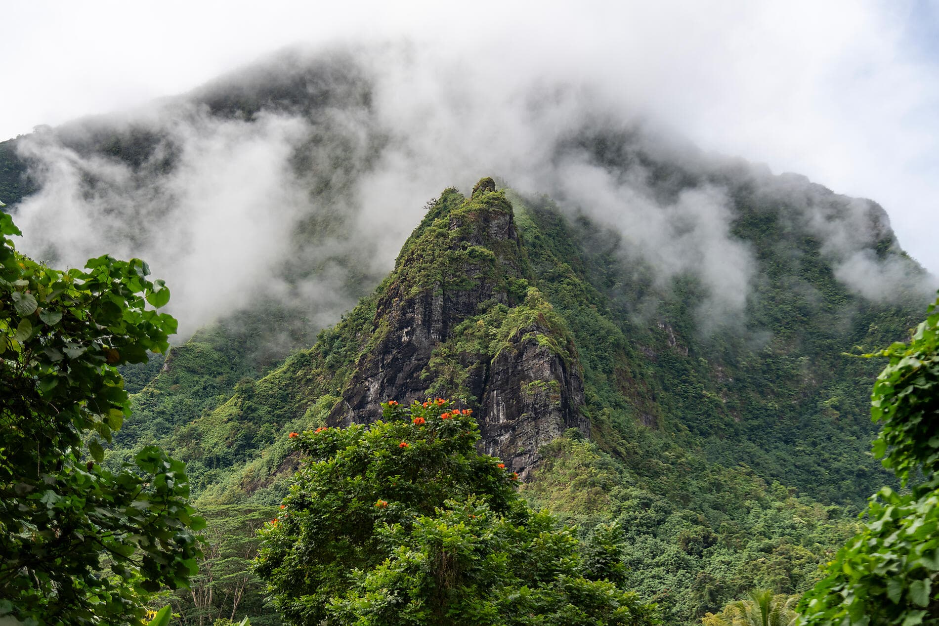 Fiji, Tonga, Cook Islands and Society Islands