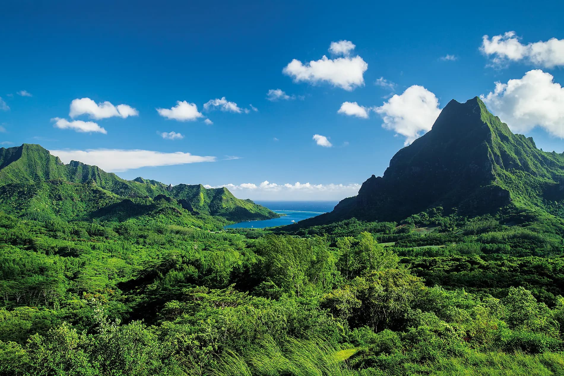 Fiji, Tonga, Cook Islands and Society Islands