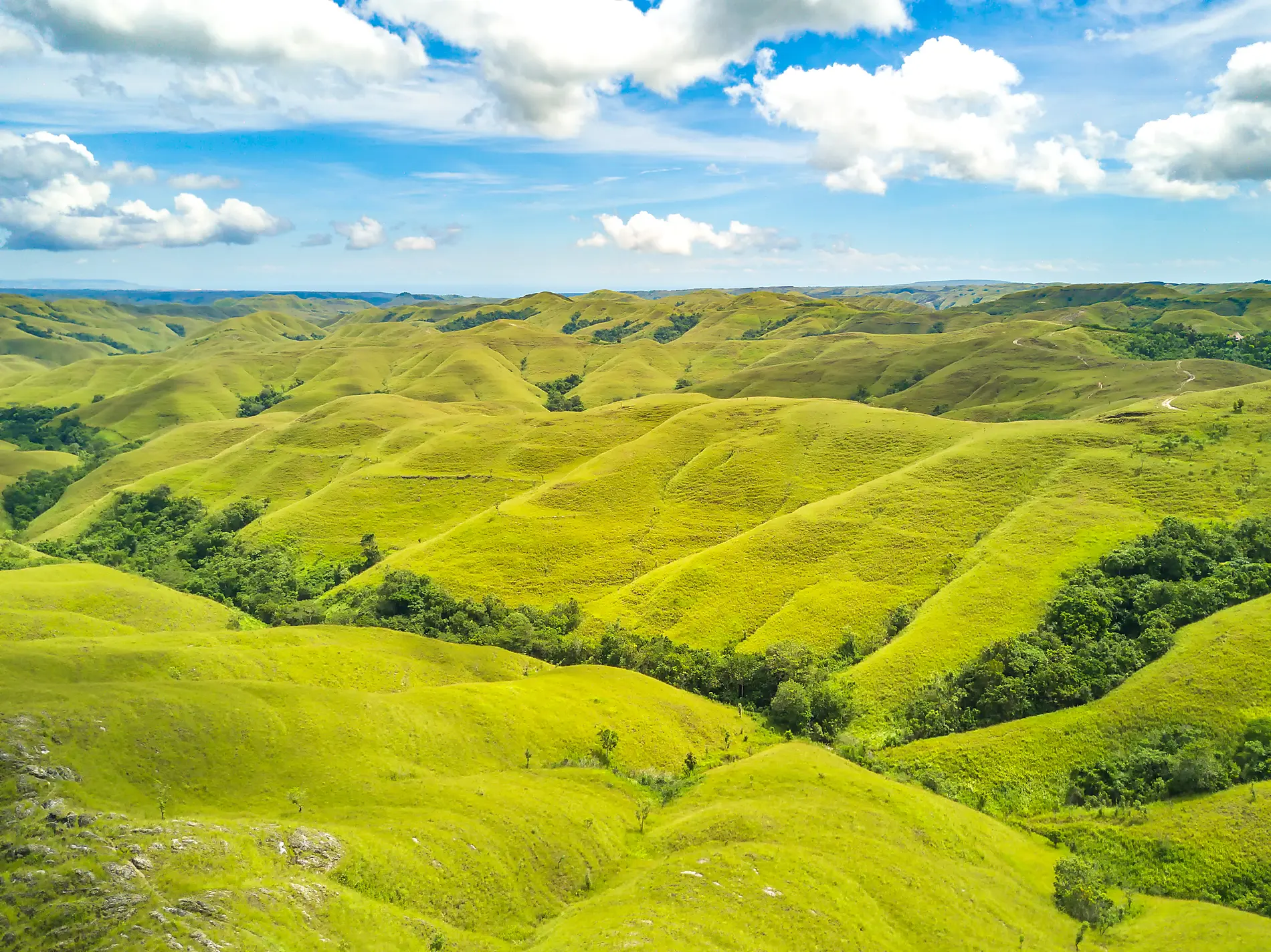 AdobeStock_244840594.jpeg