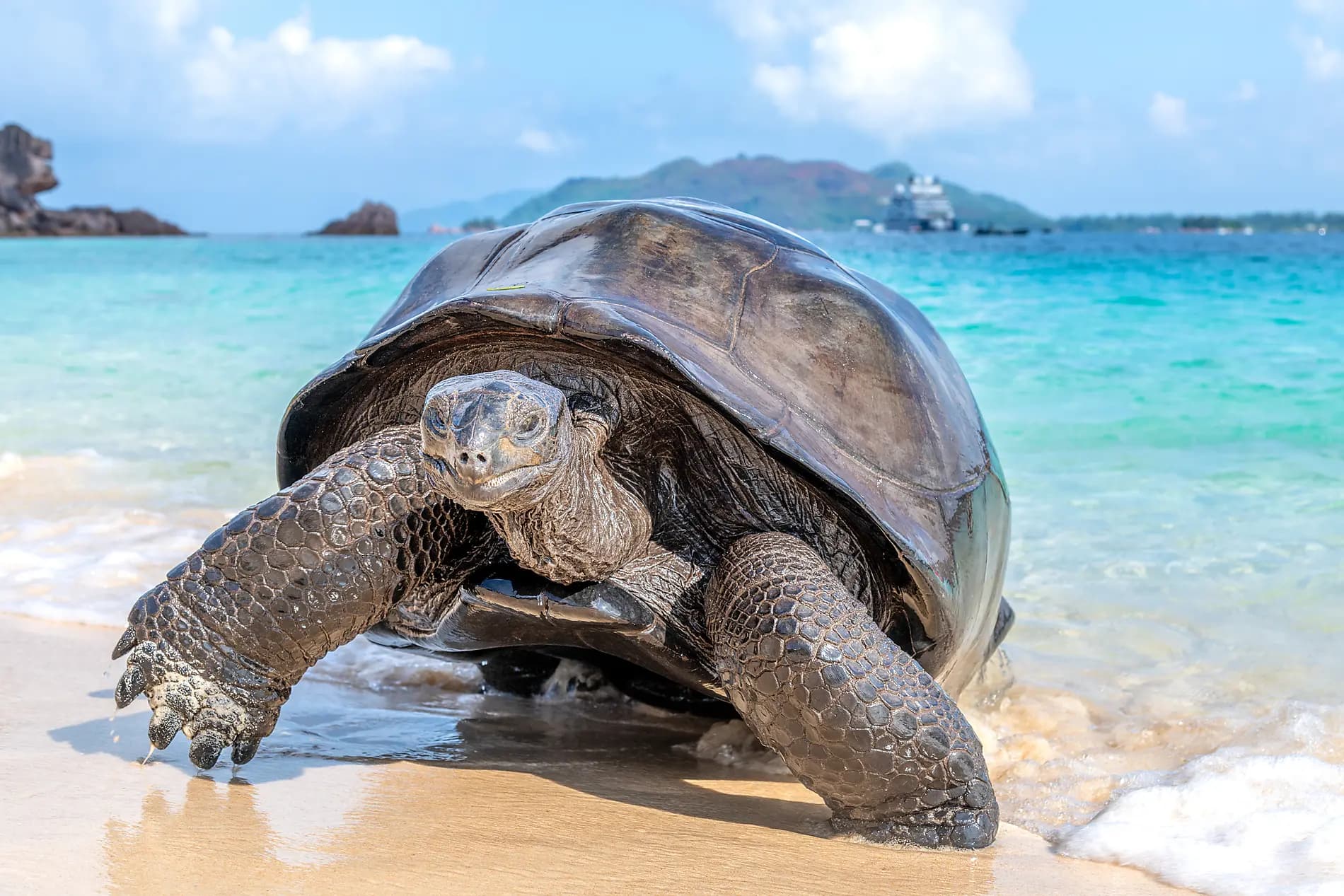 Madagascar, Zanzibar and the jewels of the Indian Ocean