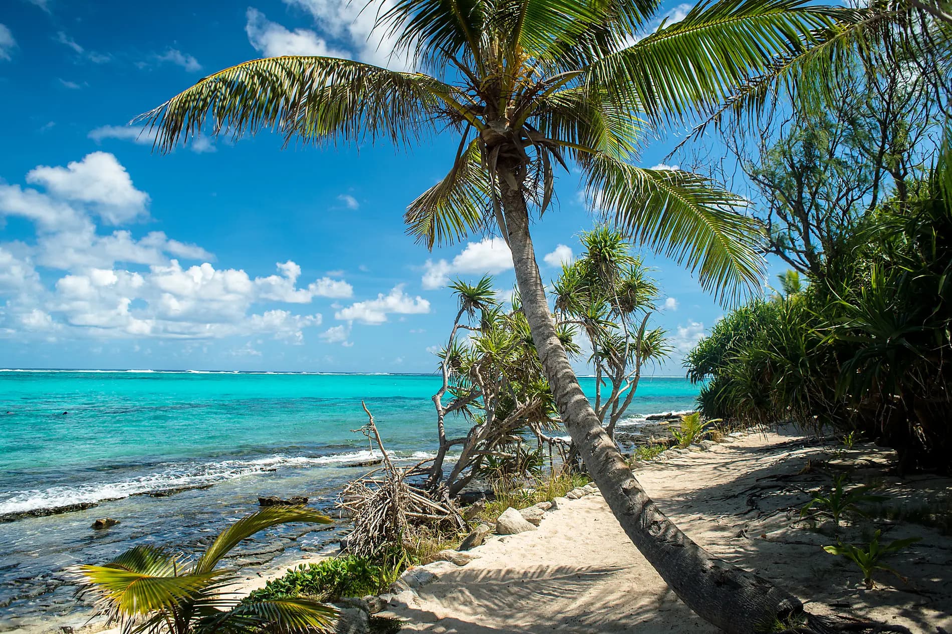Secret Treasures of Melanesia